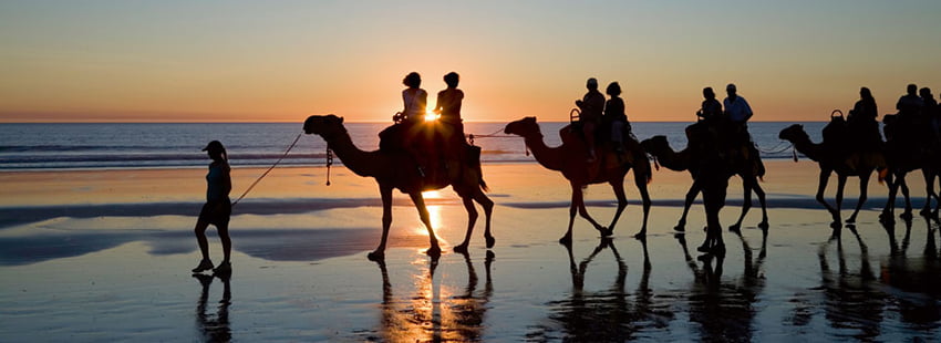 Kamelen op het strand, Broome, West Australie