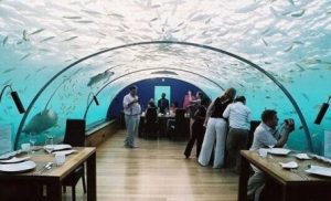 Undersea Restaurant , Ithaa - Maldiven